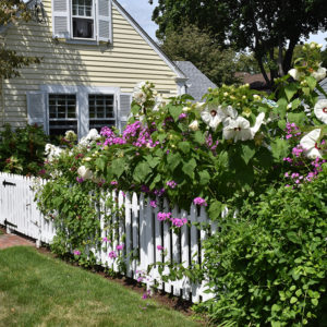 Wickford Garden Scene